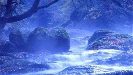 甄嬛传:浣碧永远不知,自己背叛了甄嬛,甄嬛都原谅了
